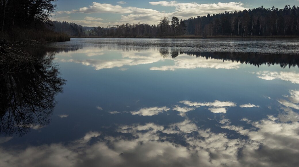 A nice nature reserve in Ossingen. The clouds can be easily reflected in the water when the water is super still!