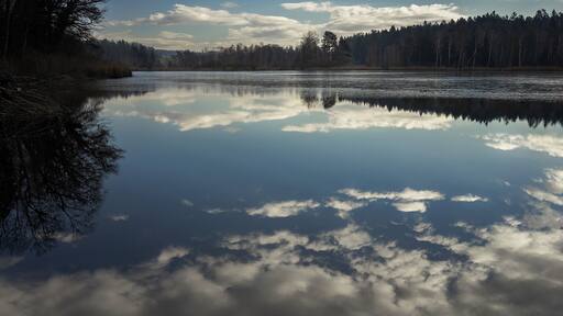 A nice nature reserve in Ossingen. The clouds can be easily reflected in the water when the water is super still!