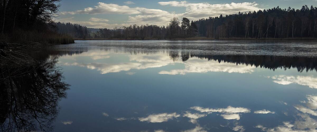A calm lake reflecting trees and clouds.