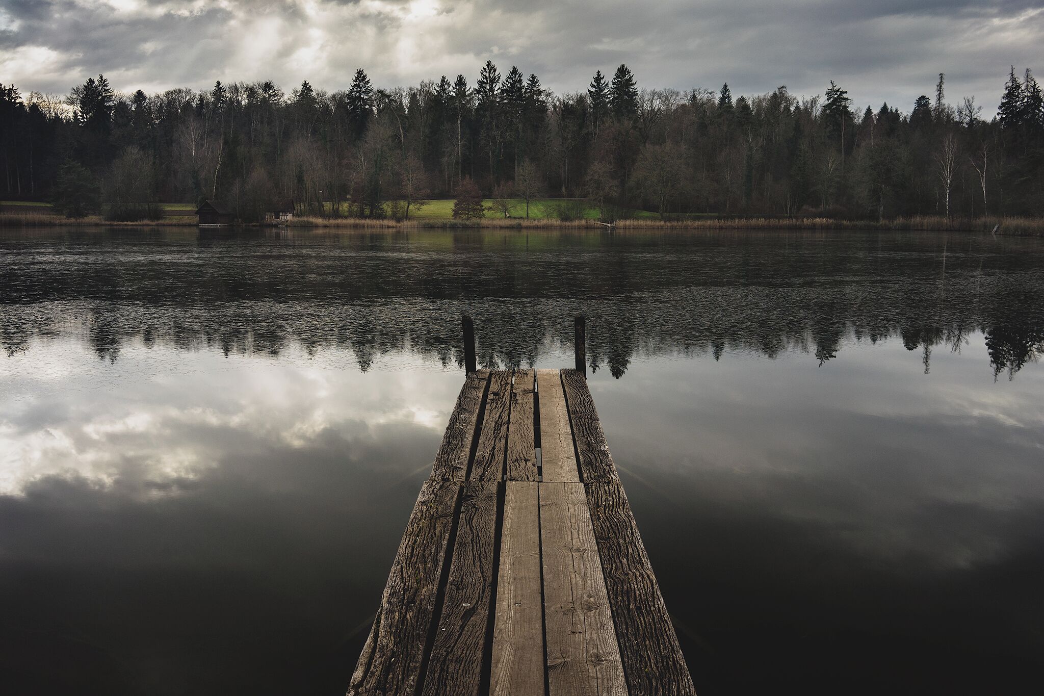 Welcome to the scenic world!