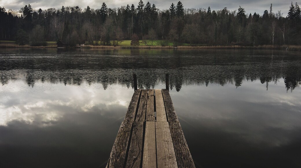 Welcome to the scenic world!