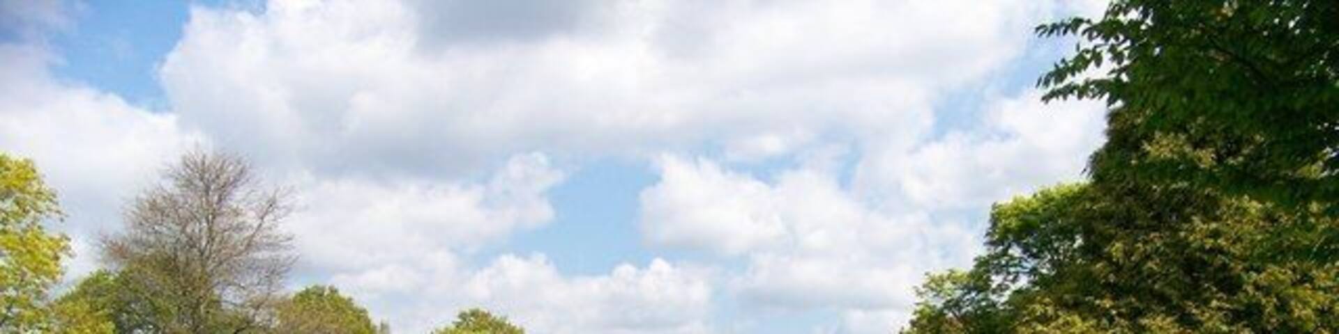 A well-maintained park with green grass, colorful flowering trees, and a clear sky.