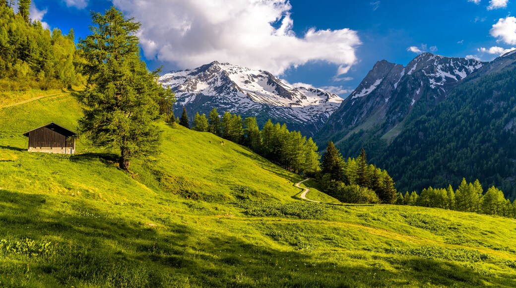 Martigny-Combe
