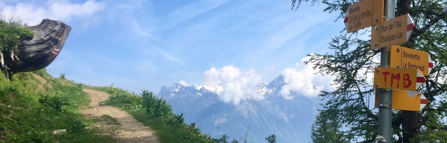 Heading up toward Alp Bovine, Switzerland on the Tour du Mont Blanc