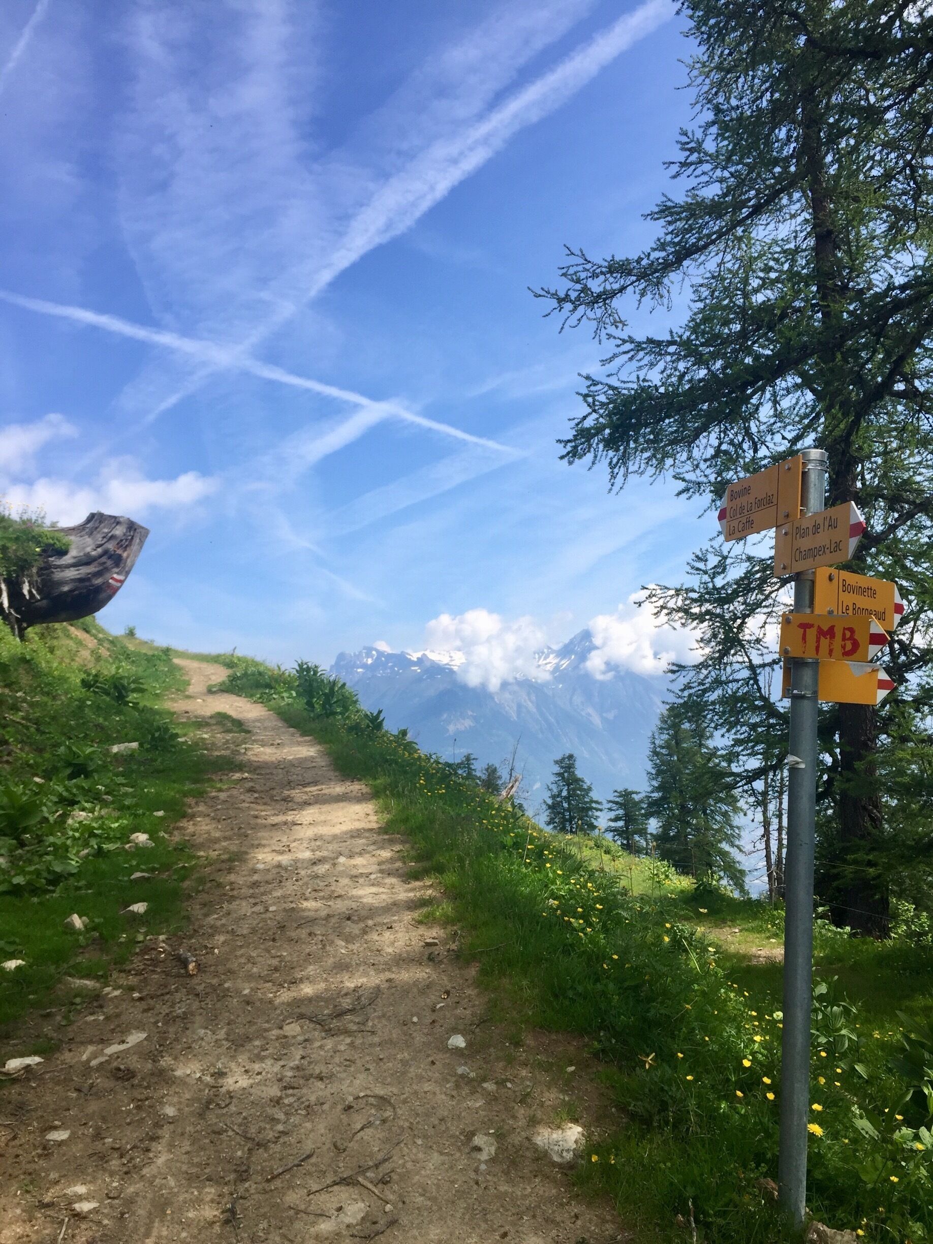 A mountain trail with directional signs and a view of snow-capped peaks.