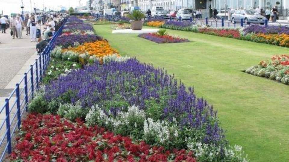 Floral Display, Eastbourne Seafront This colourful show (photographed 14th August, 2009) is a credit to the Town's 'Parks and Gardens' department.