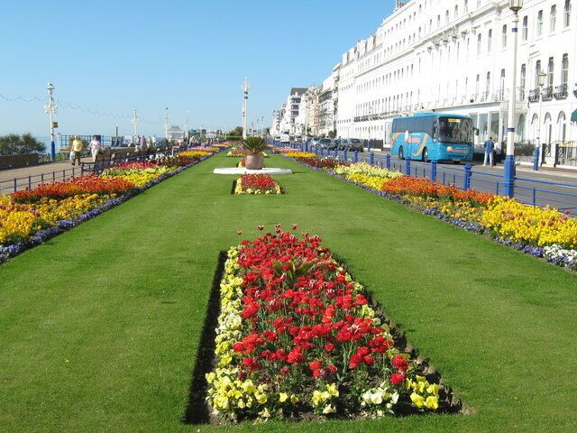 Grand Parada. Eastbourne, Carpet Bedding. A lot of wallflowers this year, great scent.