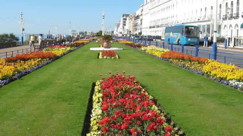 Grand Parada. Eastbourne, Carpet Bedding. A lot of wallflowers this year, great scent.