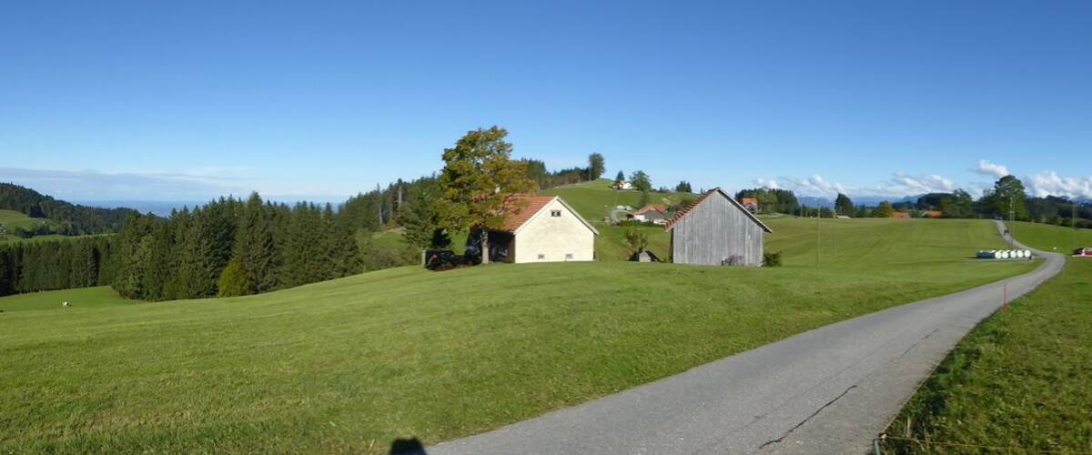 A rural landscape with a winding road, green fields, and distant mountains.