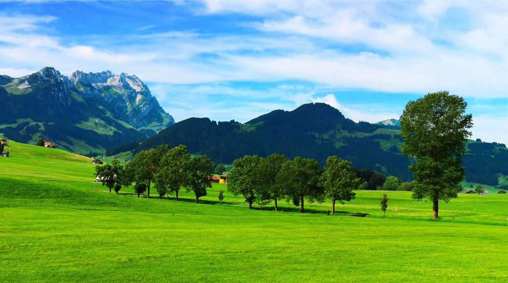 Wald
