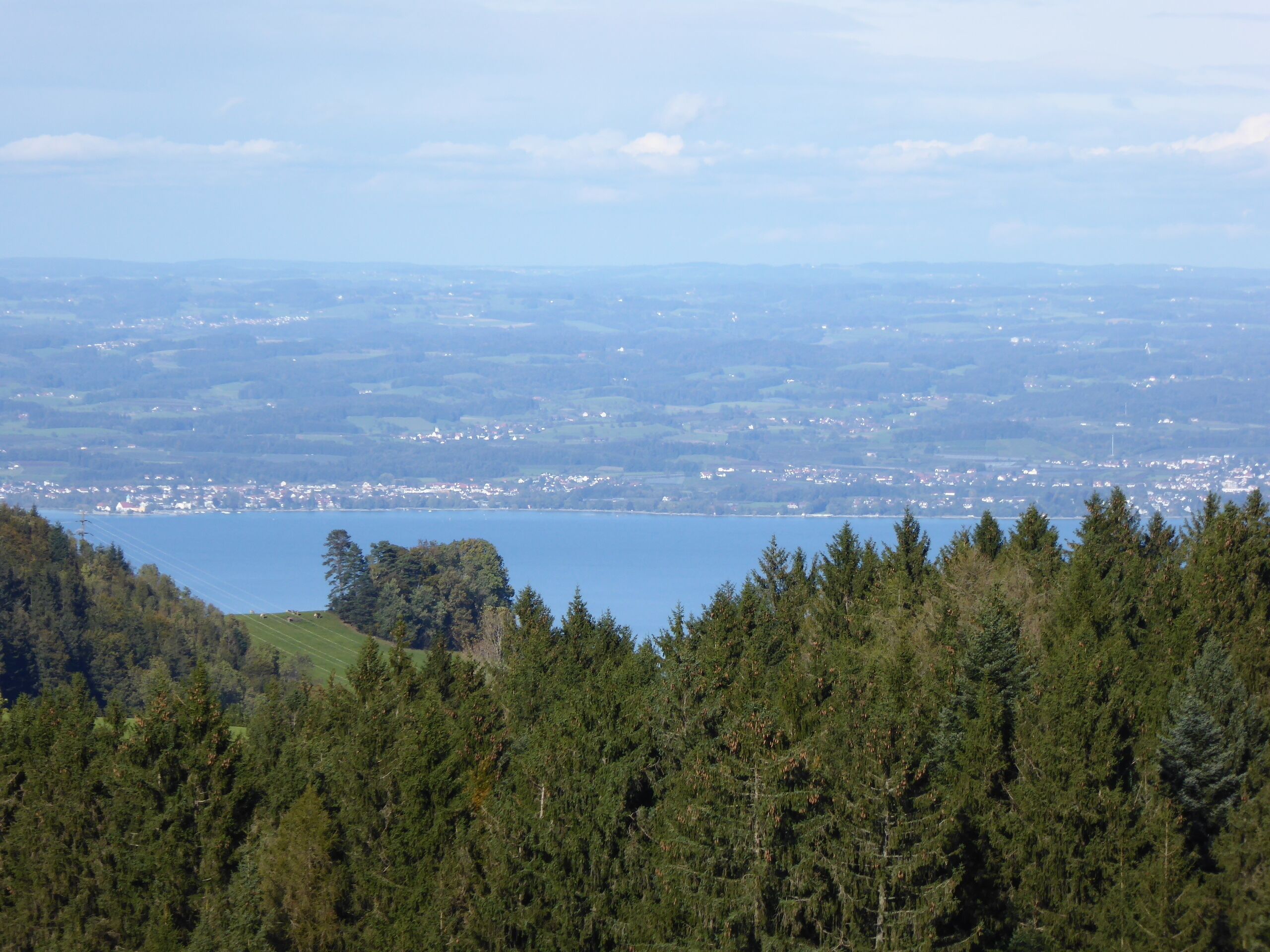 Ausblick von Kamor, Wald AR