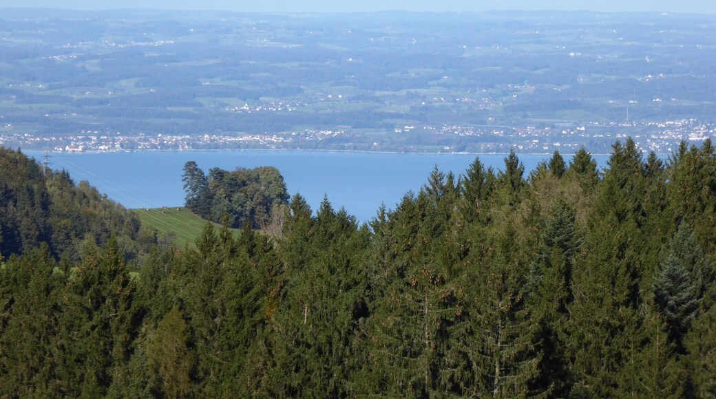 Ausblick von Kamor, Wald AR
