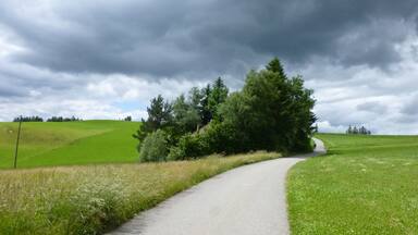A rural road curving through green fields with a large tree on the right and a cloudy sky.