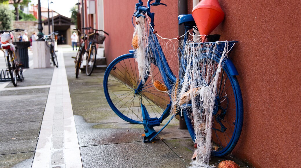 Casc antic de Caorle