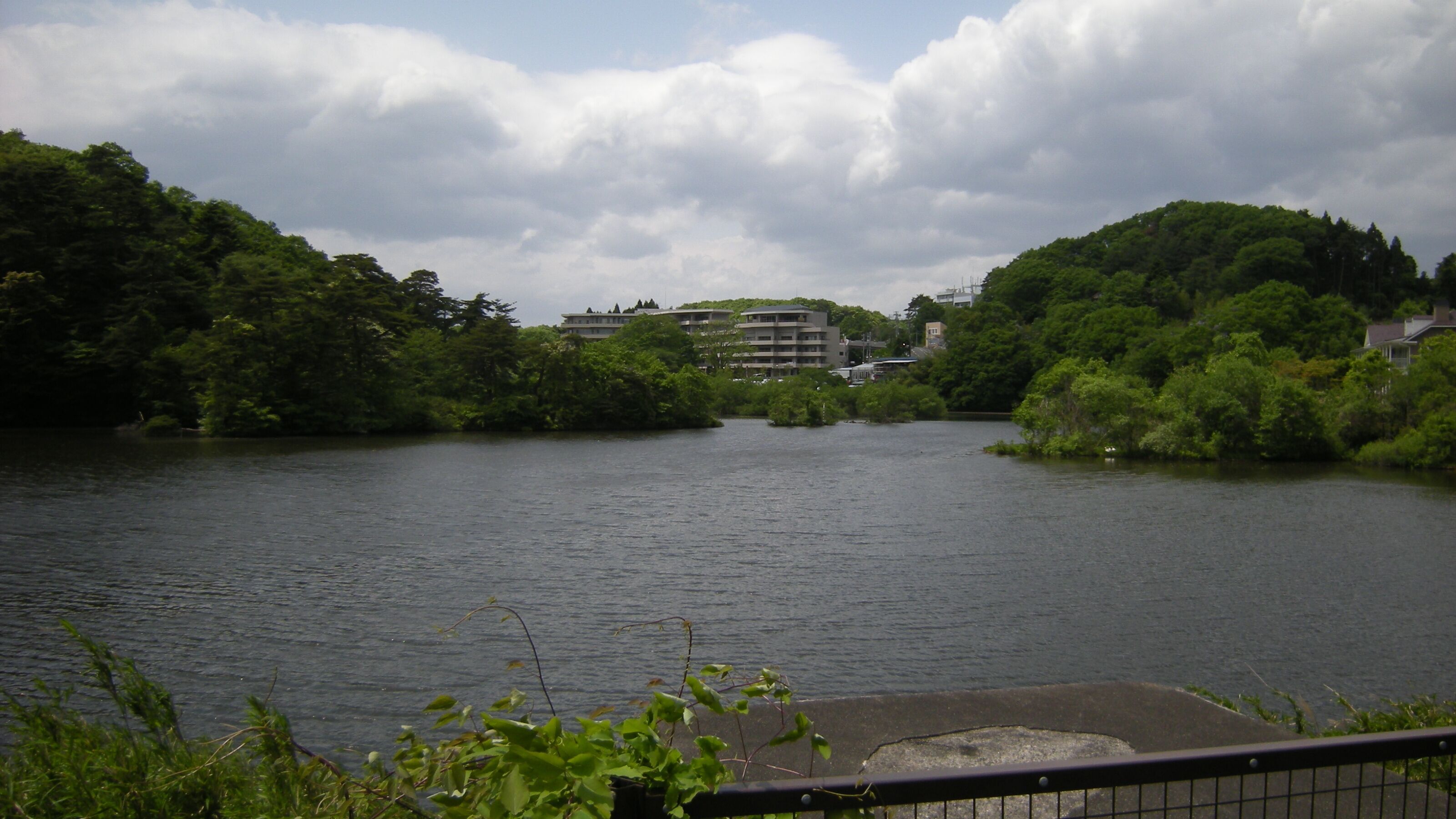 宮城県仙台市の水の森公園の丸太沢堤。堤頂から中心部の西北西に向いて撮影。File:MarutazawaDike-fromCrest2.jpgの右側。