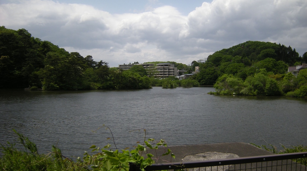 宮城県仙台市の水の森公園の丸太沢堤。堤頂から中心部の西北西に向いて撮影。File:MarutazawaDike-fromCrest2.jpgの右側。