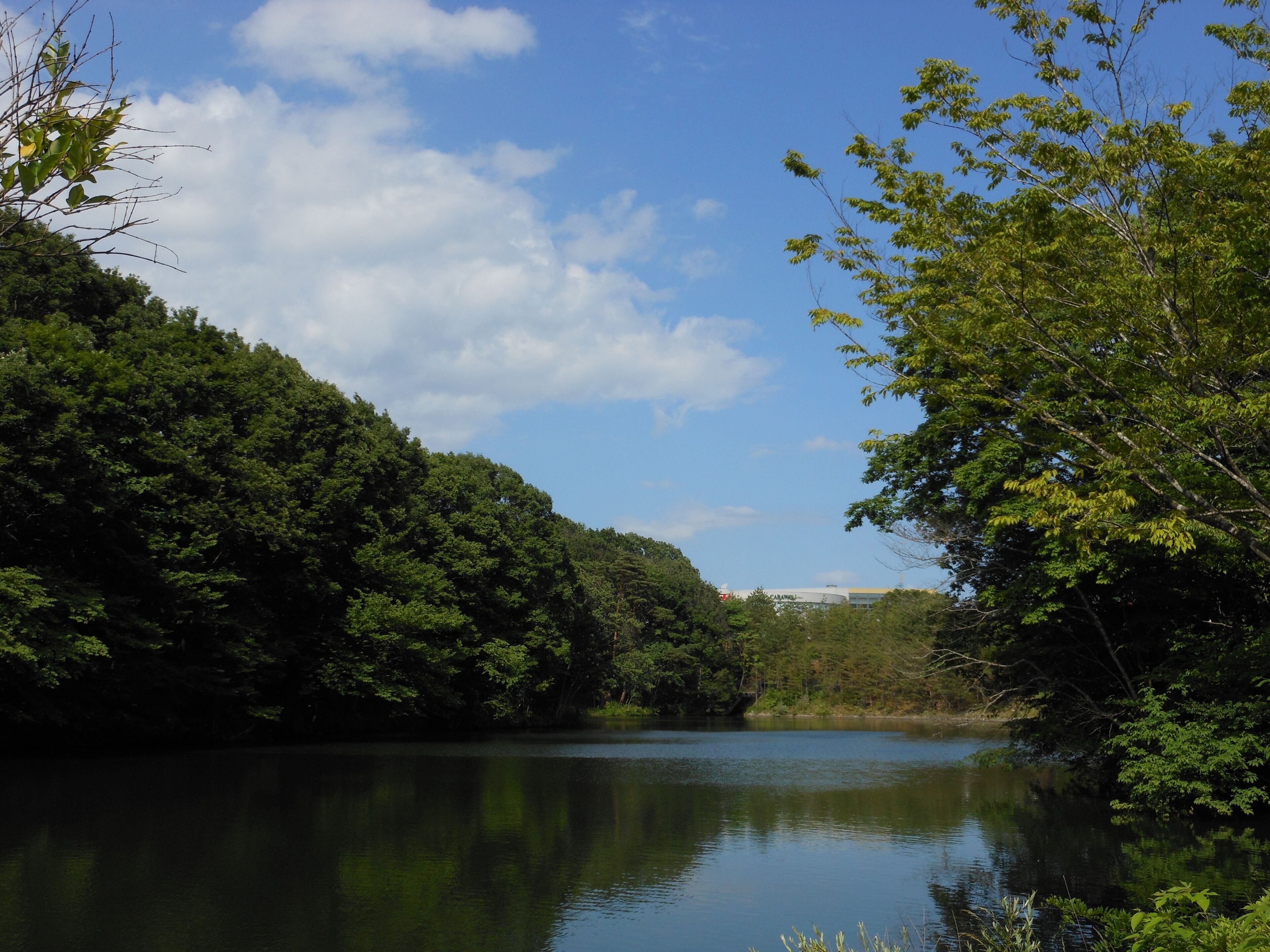 高森東公園 Takamori West Park