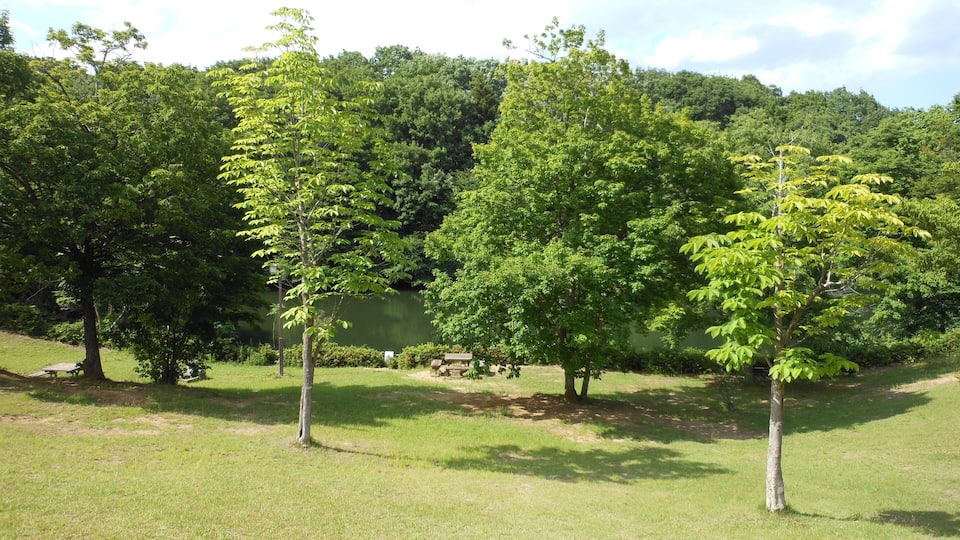 高森東公園 Takamori West Park