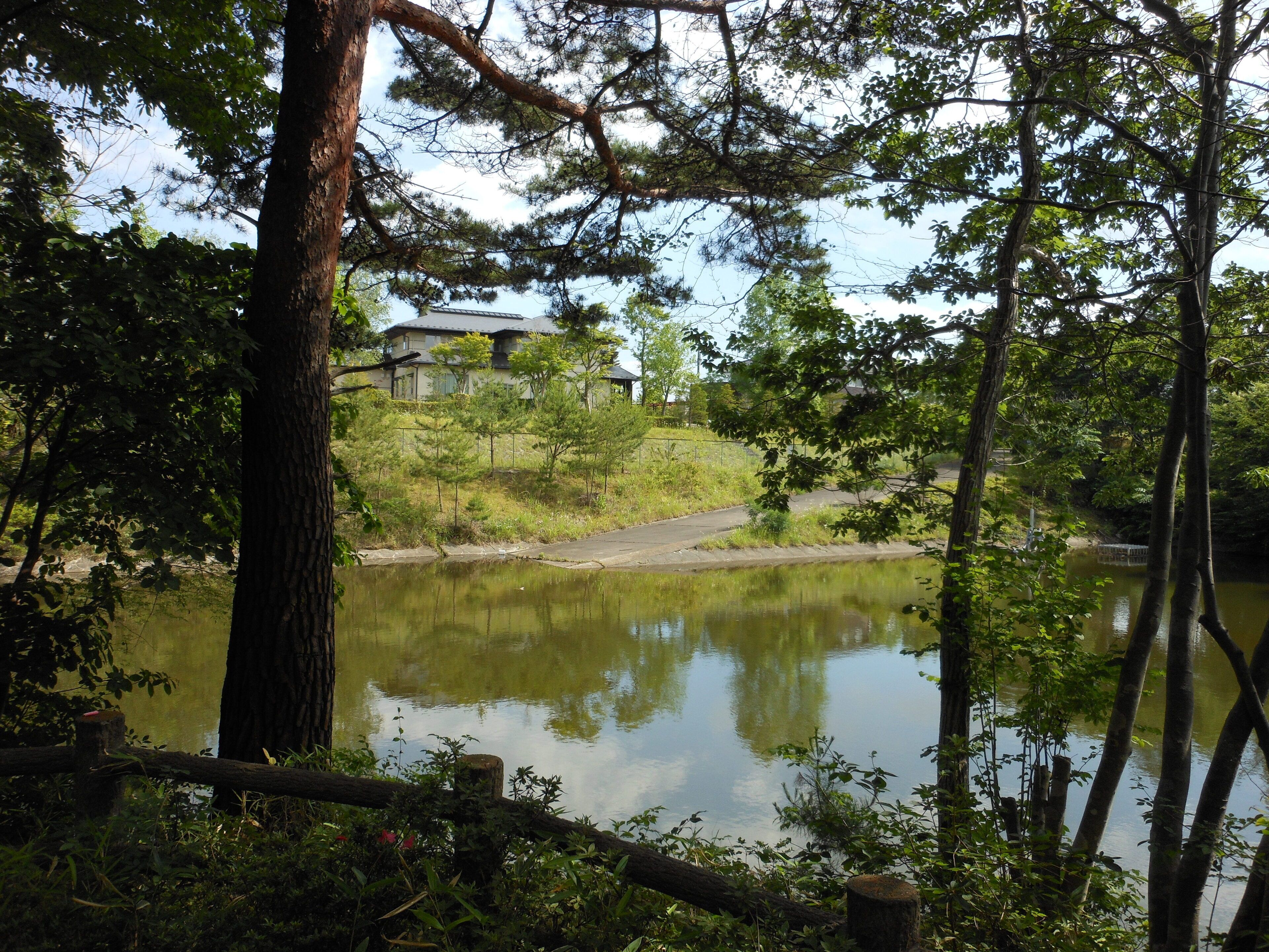 高森緑地 Takamori Open Space
