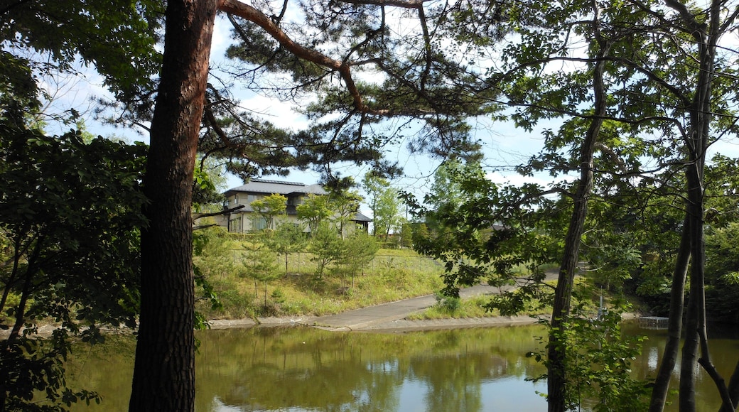高森緑地 Takamori Open Space