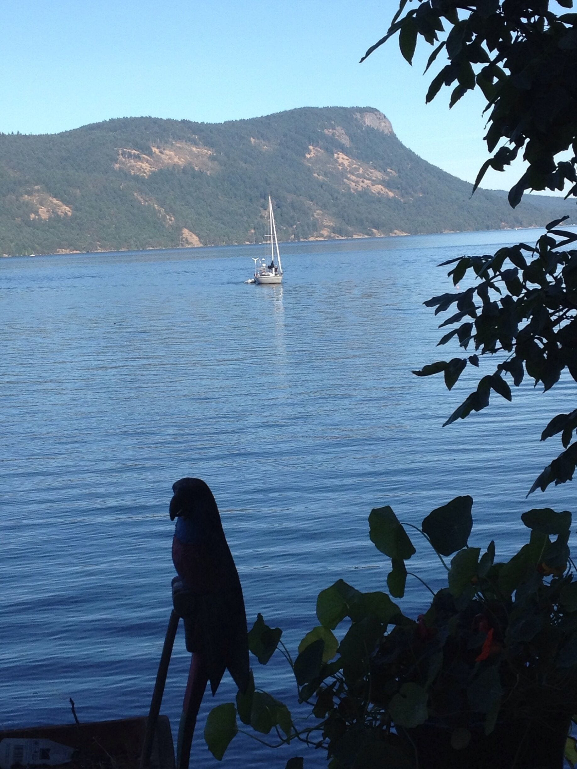 The view from my window  at Maple bay