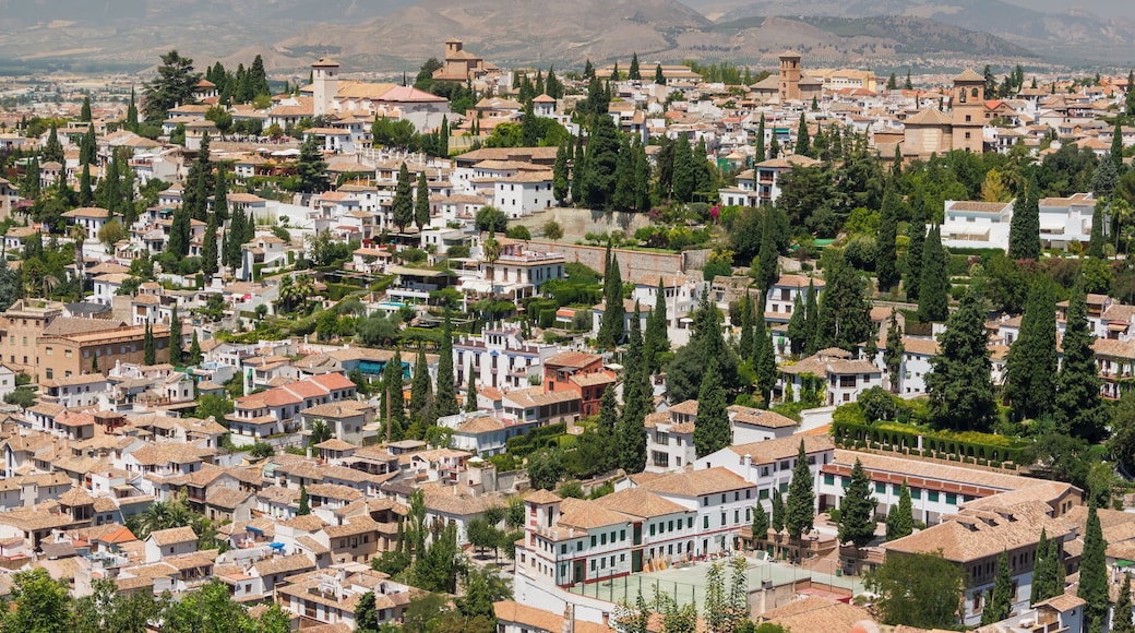 Vega de Granada