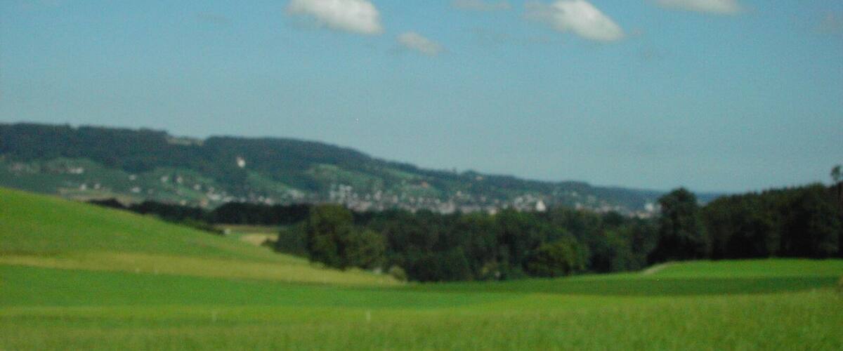 A green field with a town in the distance and a hill with trees.