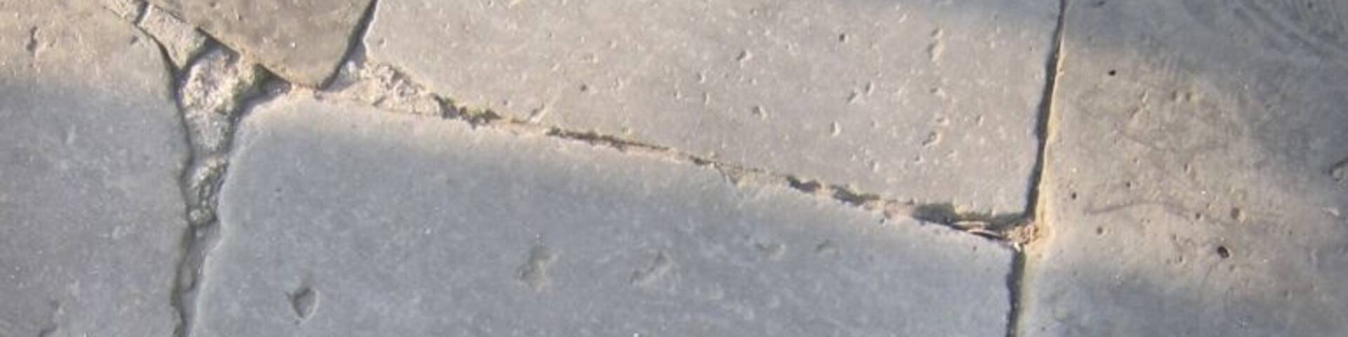 Look what I spotted on the Great Wall!!