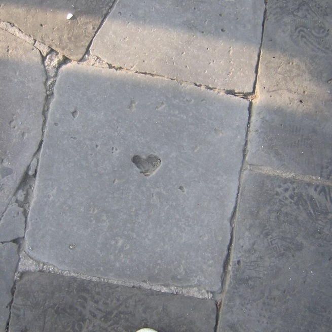 Look what I spotted on the Great Wall!!