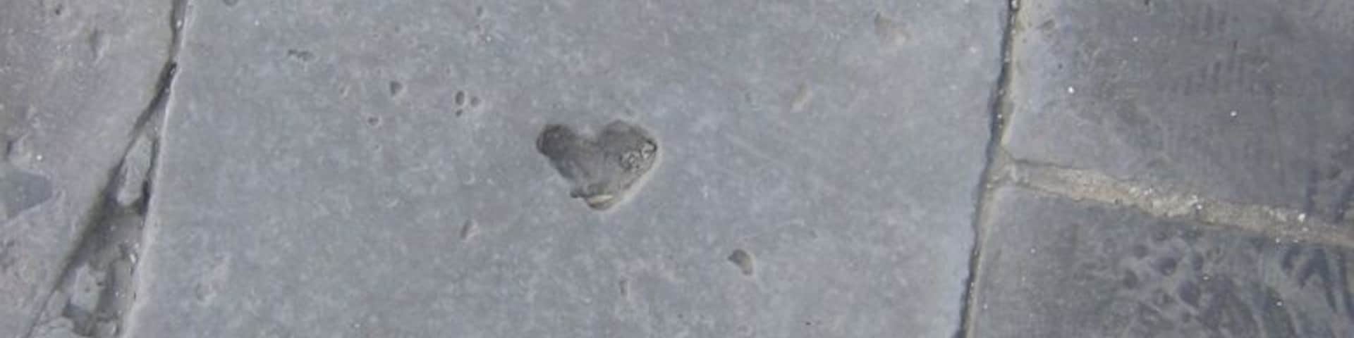 Look what I spotted on the Great Wall!!