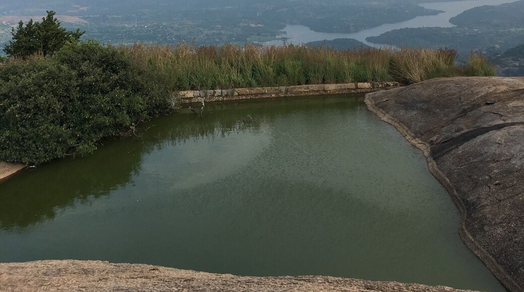 A lovely trek on the Monolith rock hill about 60 kms from Bangalore. There is this little pond after climbing for 1 and a half hour up the hill. Reaching here makes you feel accomplished and worth the climb. ❤️✨