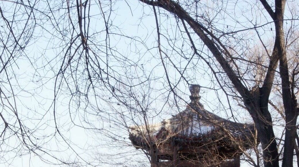 Summer resort in Chengda, China. Ancient emperor used to came here during summer time to avoid the hot weather.