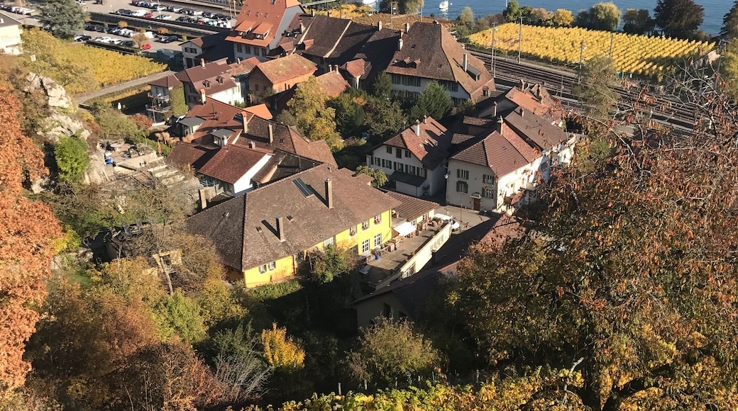Vine yards, colourful trees, cute medieval towns, the lake and the alps.