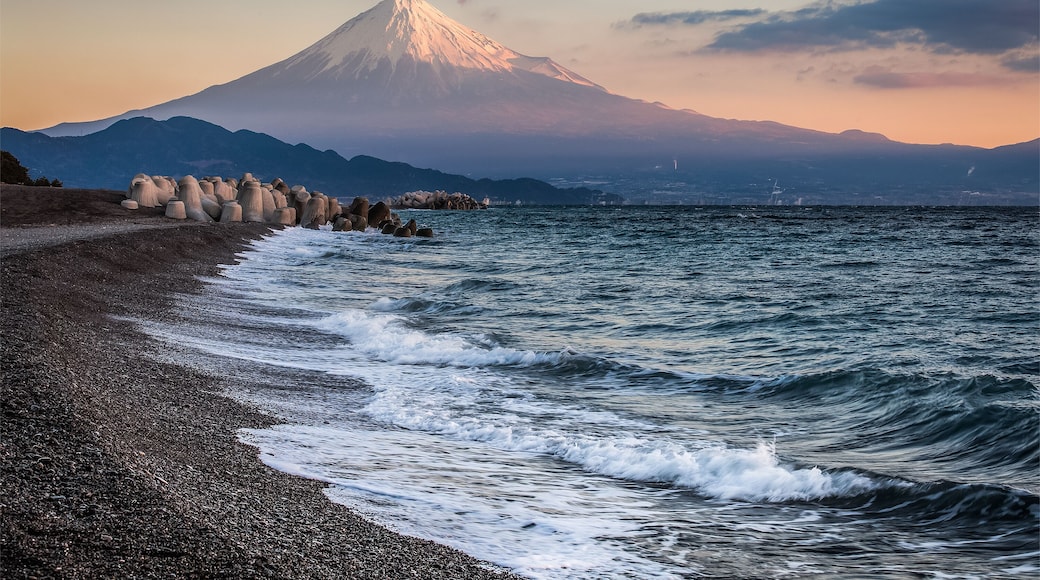 Shimizu-ku