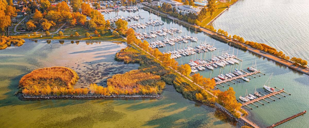 An aerial view of a marina with boats docked, surrounded by autumn foliage and a small island with dense trees.