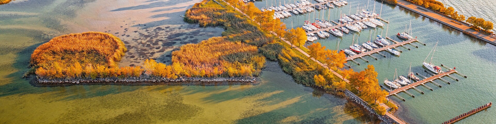 An aerial view of a marina with boats docked, surrounded by autumn foliage and a small island with dense trees.