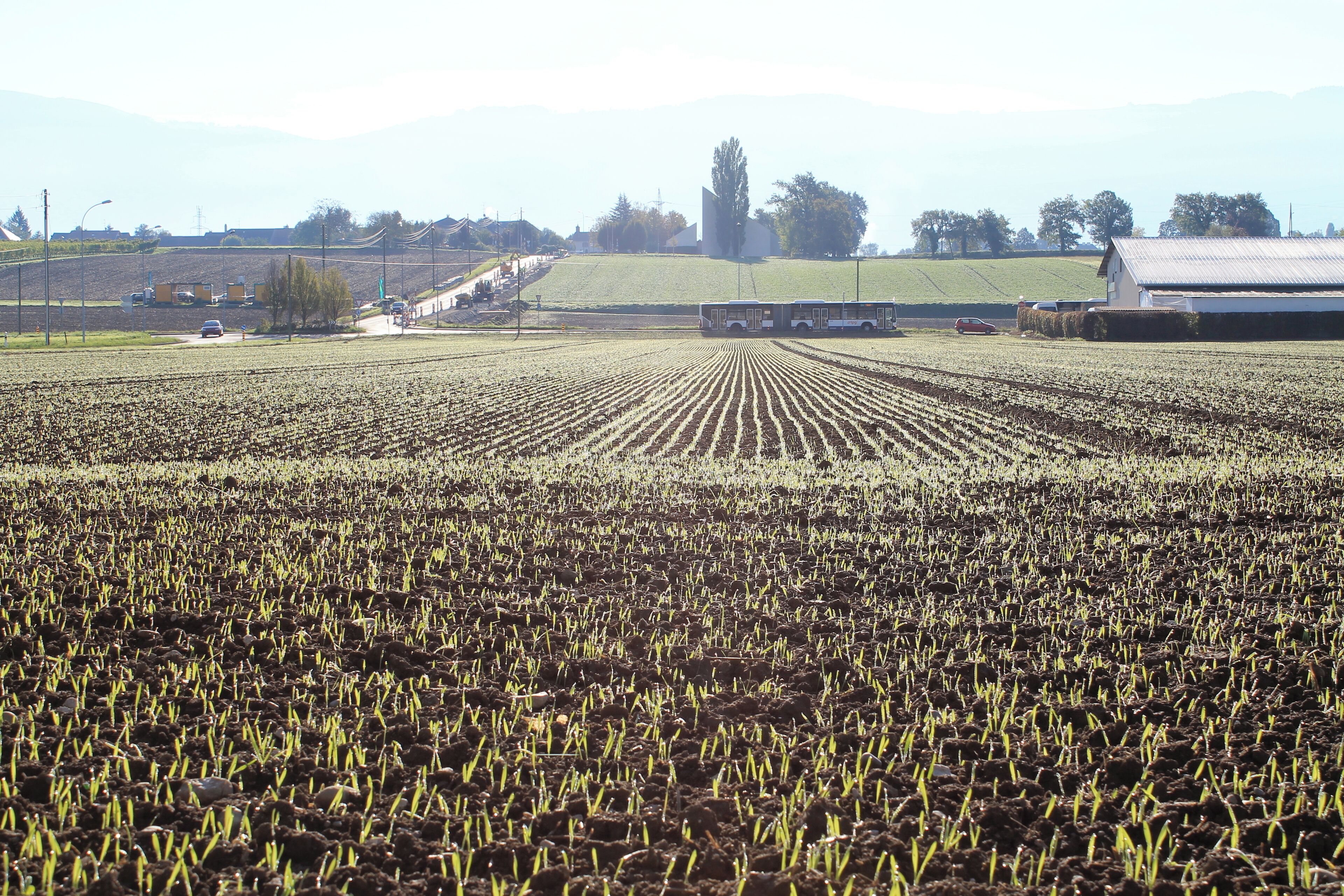 Geneva Countryside in Autumn