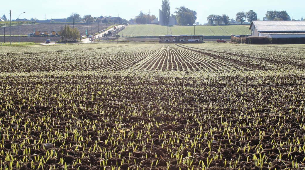 Geneva Countryside in Autumn