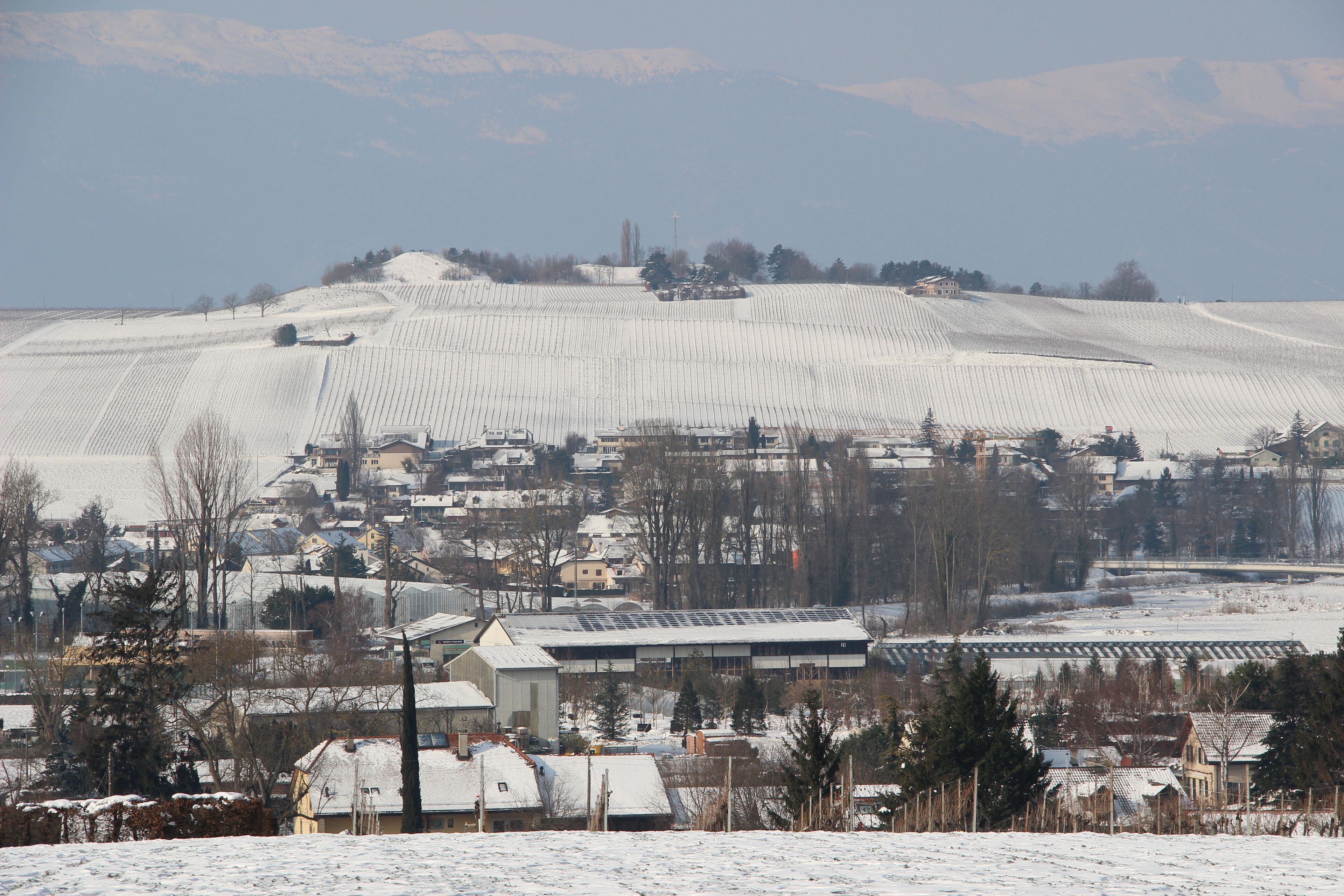 Signal de Bernex in winter