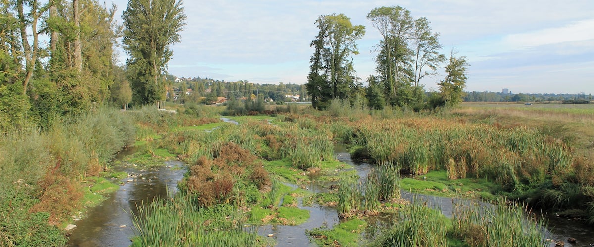 Geneva Countryside in Autumn