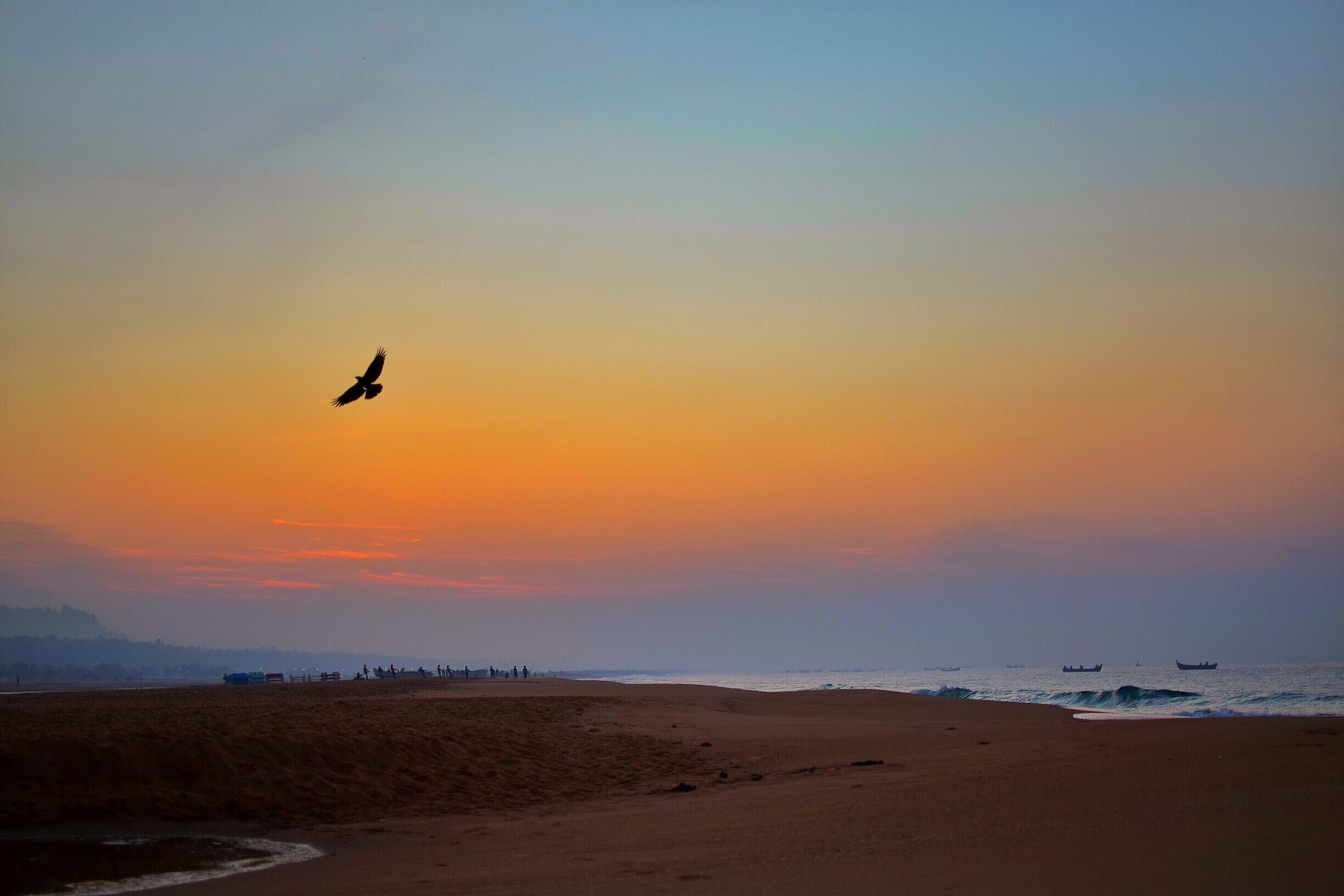 Sometimes i feel that maybe its only birds who enjoy the very being of their existence. waking up to an early sunrise and getting back home along with the light. Such was a morning here at kollam beach ,

#bruisedpassports #sunrise