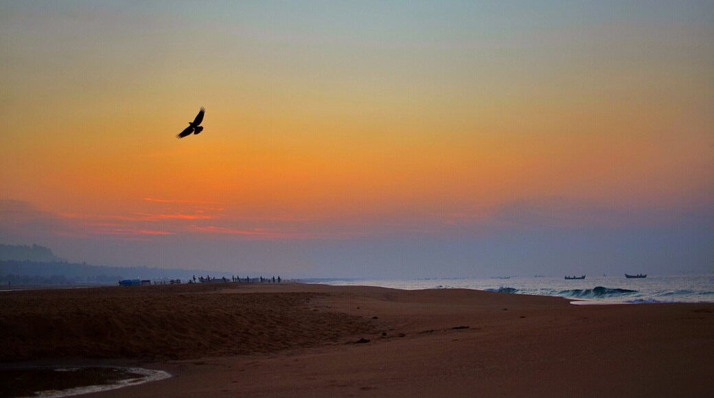 Sometimes i feel that maybe its only birds who enjoy the very being of their existence. waking up to an early sunrise and getting back home along with the light. Such was a morning here at kollam beach ,
#bruisedpassports #sunrise