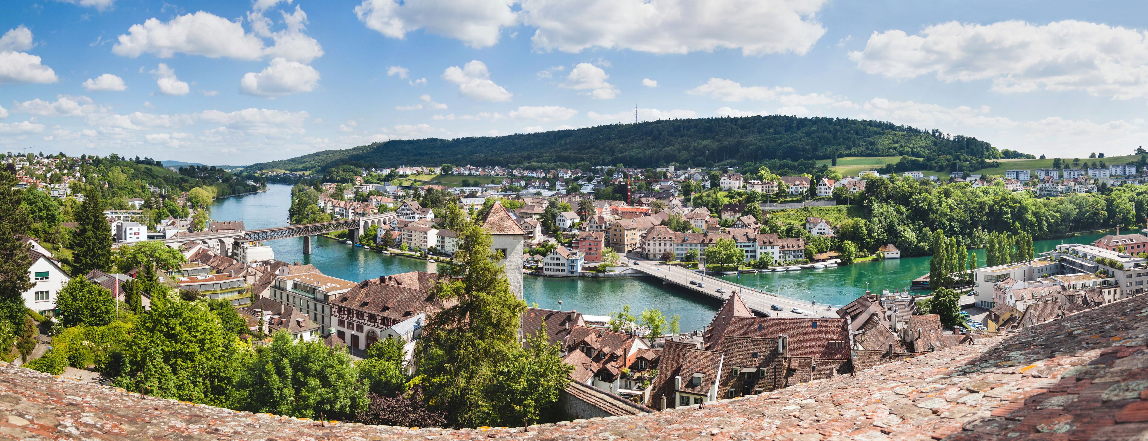 A riverside town with historic buildings, a bridge, and a hill in the background.