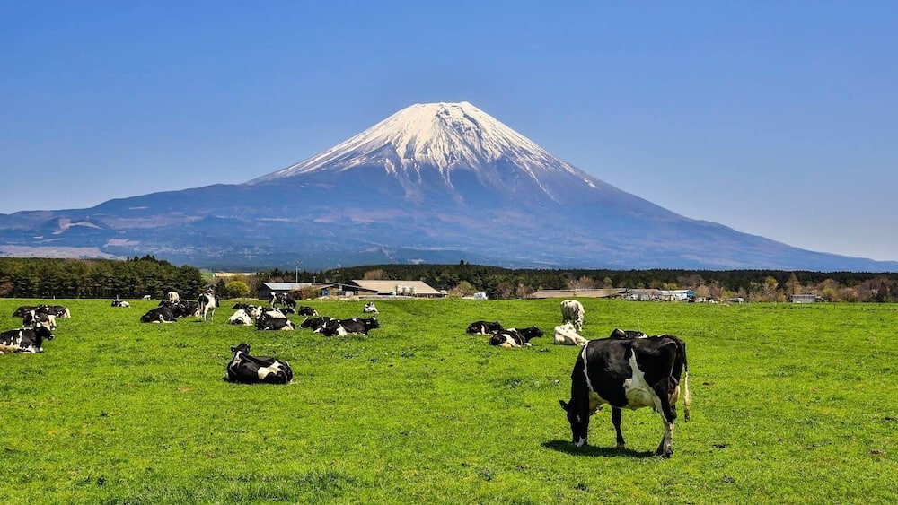 Beautiful Switzerland like scenic spot under Mount Fuji