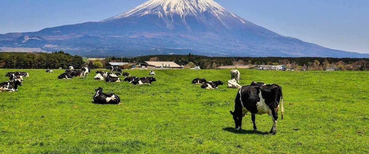Beautiful Switzerland like scenic spot under Mount Fuji