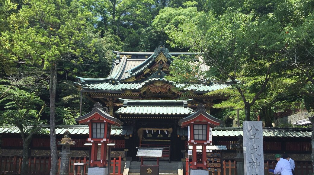 Really beautiful and you can walk up into the back for a nice view