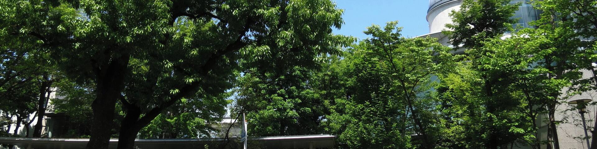 相模原市立博物館 正面 (春)