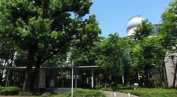 相模原市立博物館 正面 (春)