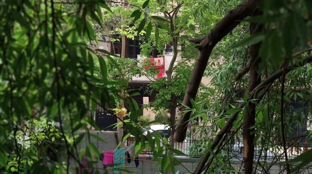 Nice garden to spent time in morning. It is in A5 block Paschim Vihar.
#LifeAtExpedia