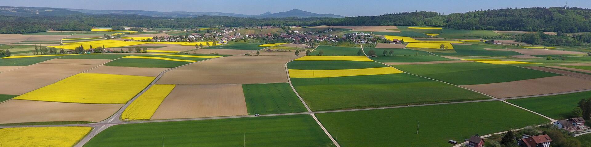 Switzerland, Canton of Schaffhausen, aerial view of Dörflingen